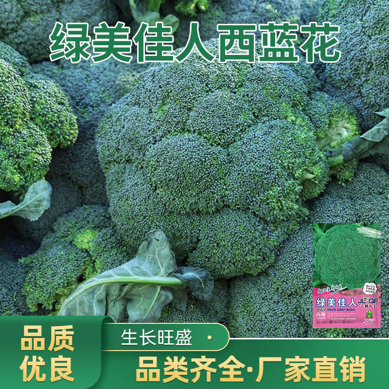 Broccoli seeds, cauliflower, tight cauliflower, broccoli, c