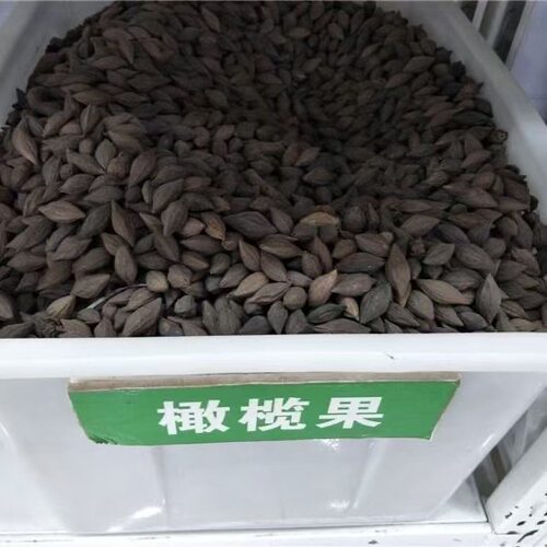 Olive Tree Olive Core Olive Fruit Fun Tree Raw Material T-s