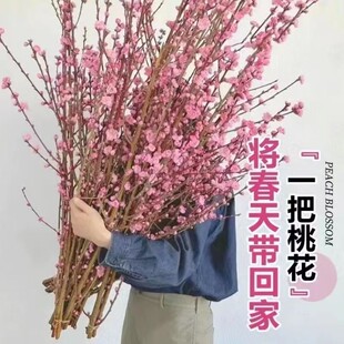 Fresh branches with flowers, red plum blossoms, peach bloss