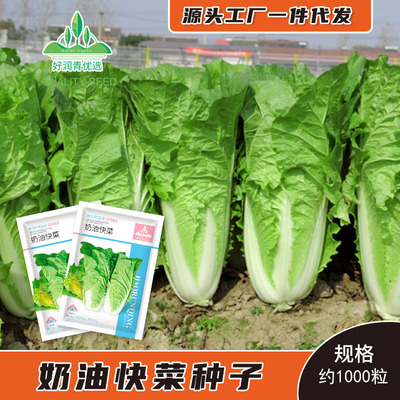 Creamfastvegetableseedsfa