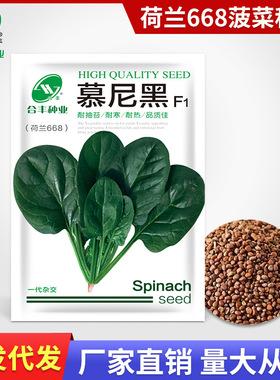 He668 spinach seeds Munich large leaf spinach seeds Round l
