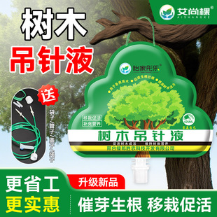 Aishang tree hanging needle with plant sap, fruit tree sap,