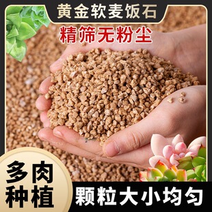 New Soft Wheat Rice Stone Succulent Particle Soil Peat Flow