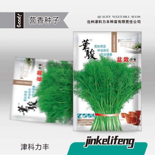 Multiple harvests of fennel, easy vegetables, balcony T-shi