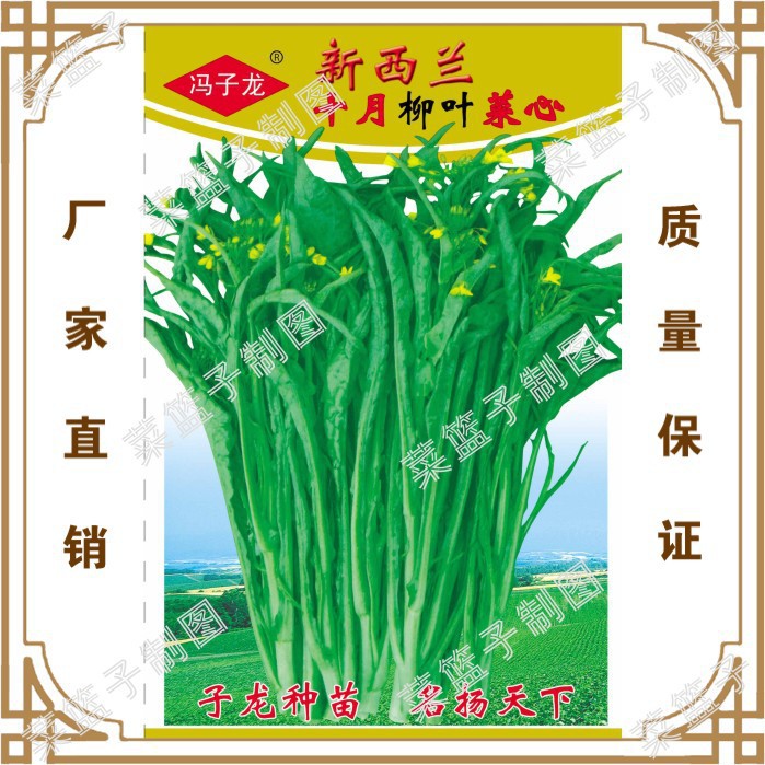 Vegetable seeds New West October Willow Leaf Cabbage Balcon