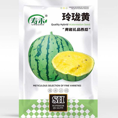 小西瓜种子种籽黄心黄瓤盆吊瓜孑