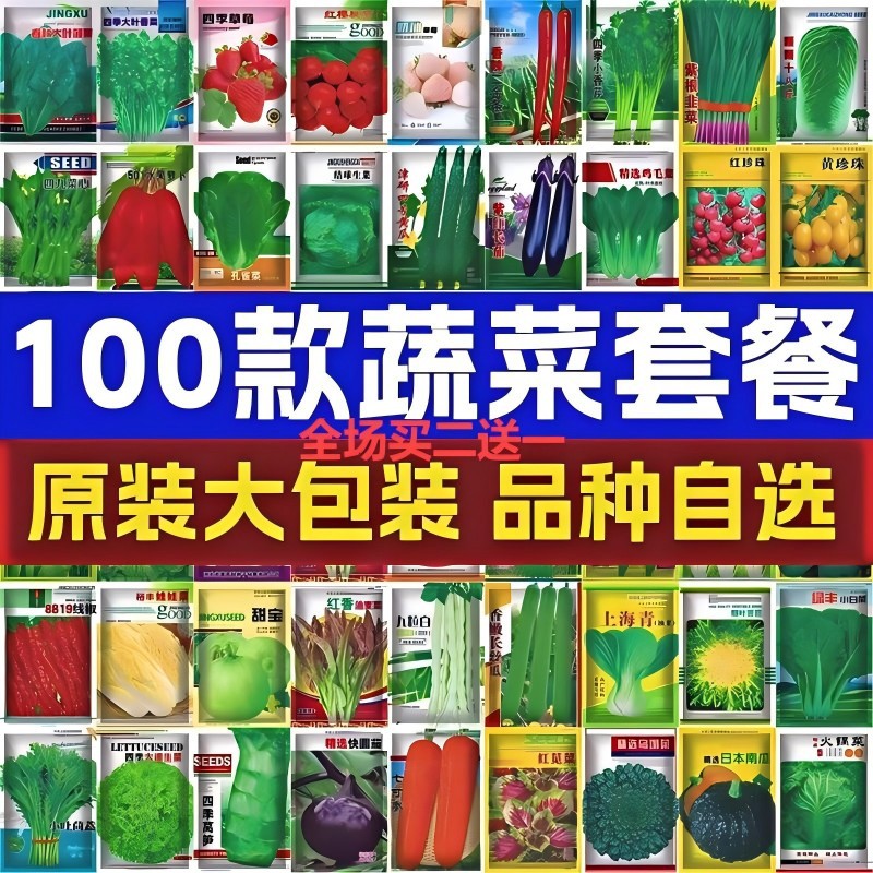 Vegetable Seeds Four Seasons Sowing Rapeseed Package Courty