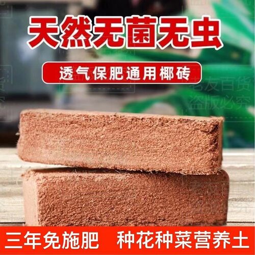 Campcoconutbrickcoconutbr