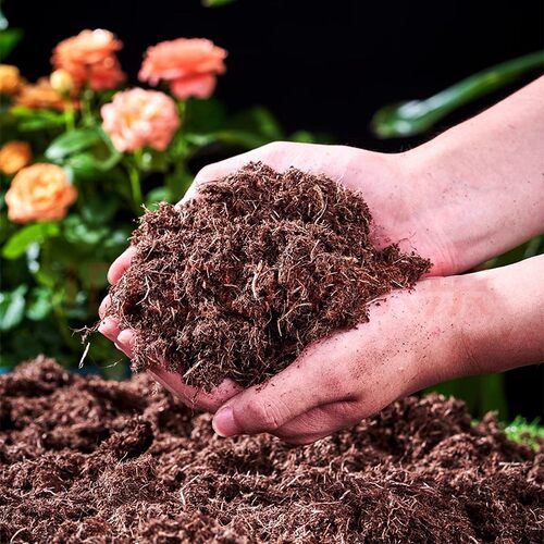 Grasscharcoalcultivationve