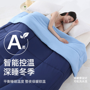 a类大牌平替深睡云朵星球控温被   被子冬季厚款加厚保暖被芯