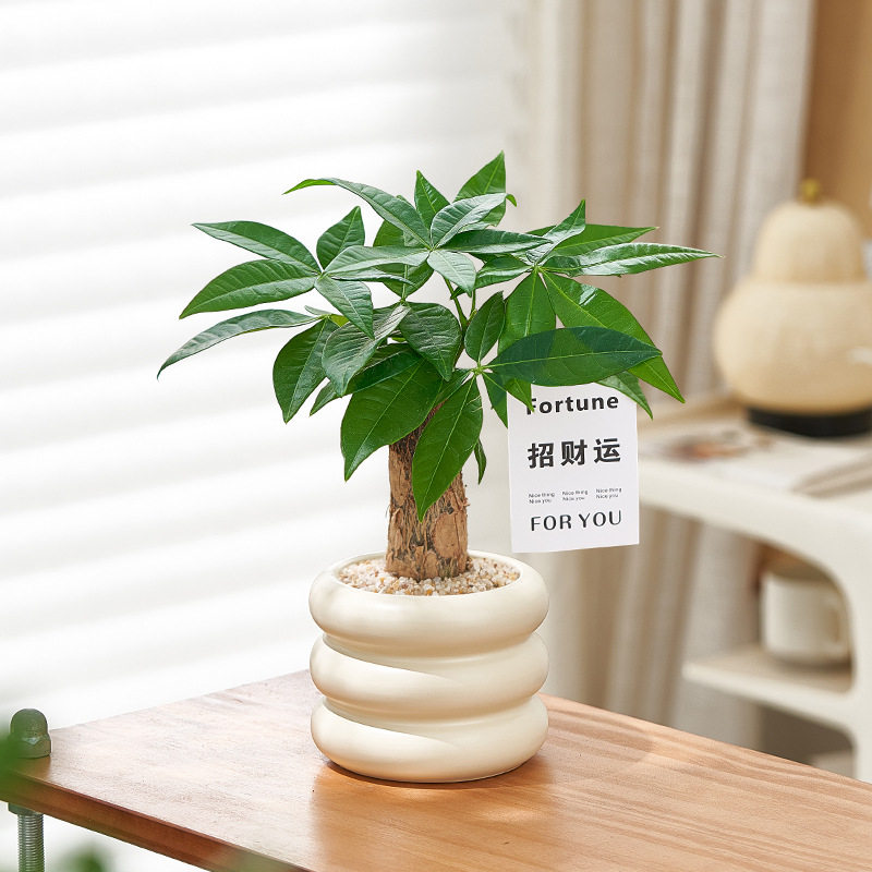 Airy Lifestyle box for fresh simple interiors