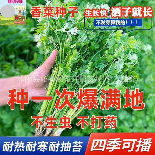 Vegetableseedsfarmerspots