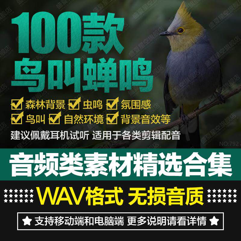 夏天自然森林环境小鸟叫声蝉鸣知了虫鸣背景声音剪辑配乐音频素材