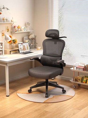 电脑椅子舒适久坐办公椅家用护腰人体工学电竞椅学生学习靠背座椅