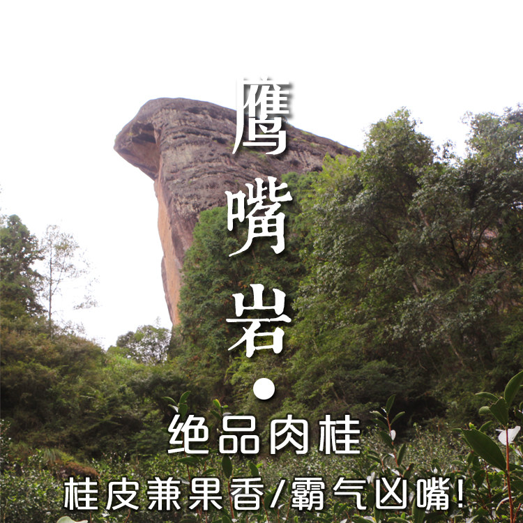 送礼自饮佳品 大红袍茶叶500g礼盒装武夷山武夷岩茶瓷罐装茶叶