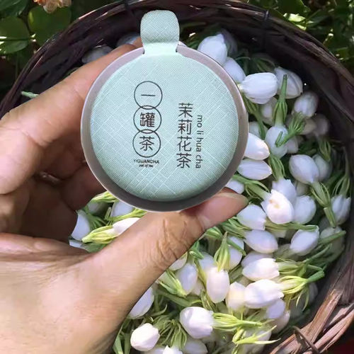 浓香型茉莉花茶高端品鉴装