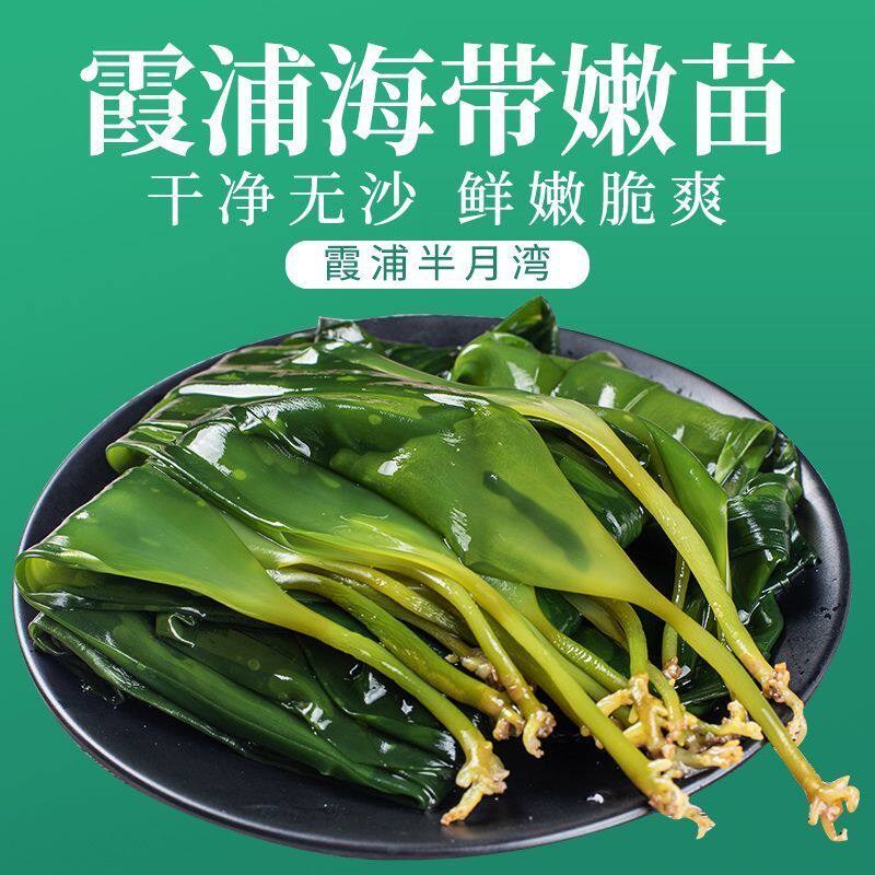 海带苗火锅店同款海带嫩苗海带芽非裙带菜嫩芽涮火锅凉拌煲汤串串