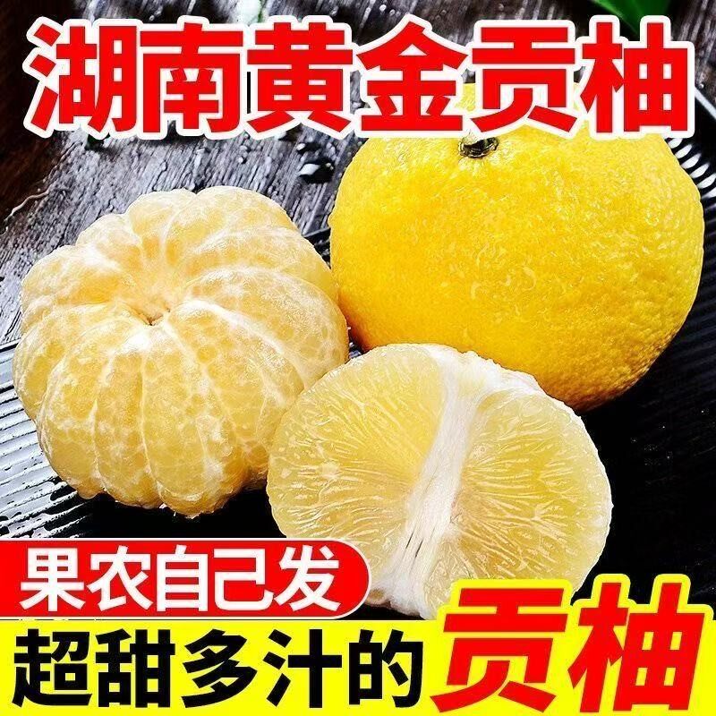 【湖南怀化】岩陇黄金贡柚柚子象山青春香桔柚当季新鲜水果整箱