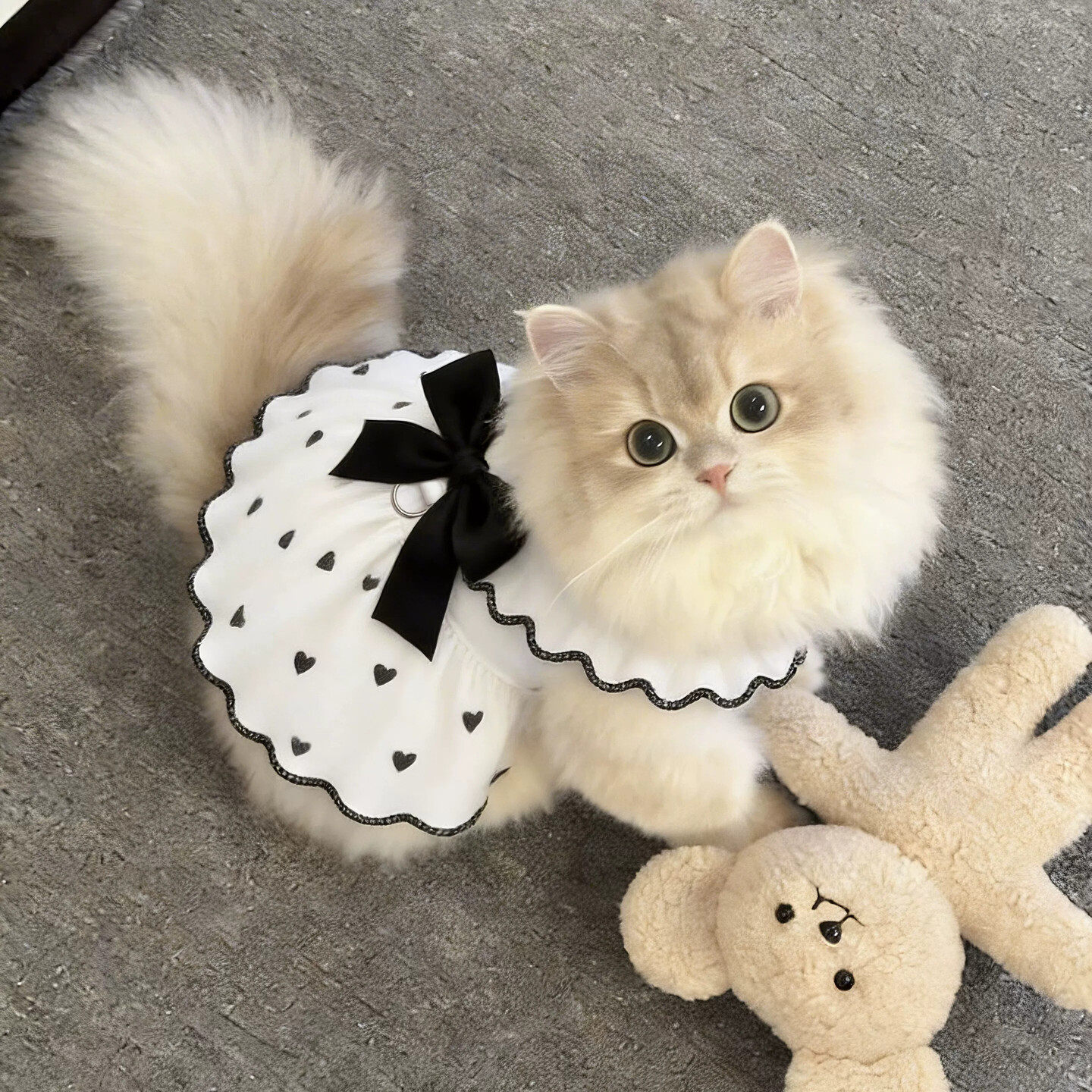 猫咪衣服春夏季透气薄款蝴蝶结小裙子可牵引布偶英短宠物狗狗吊带