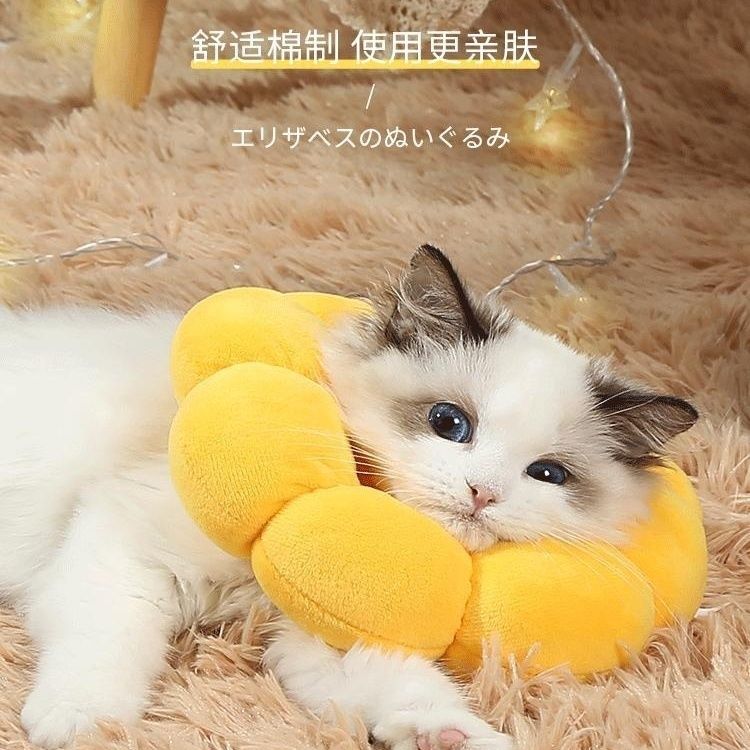 43伊丽莎白圈猫项圈防舔除跳蚤猫咪脖圈颈圈太阳花头套狗猫宠物用
