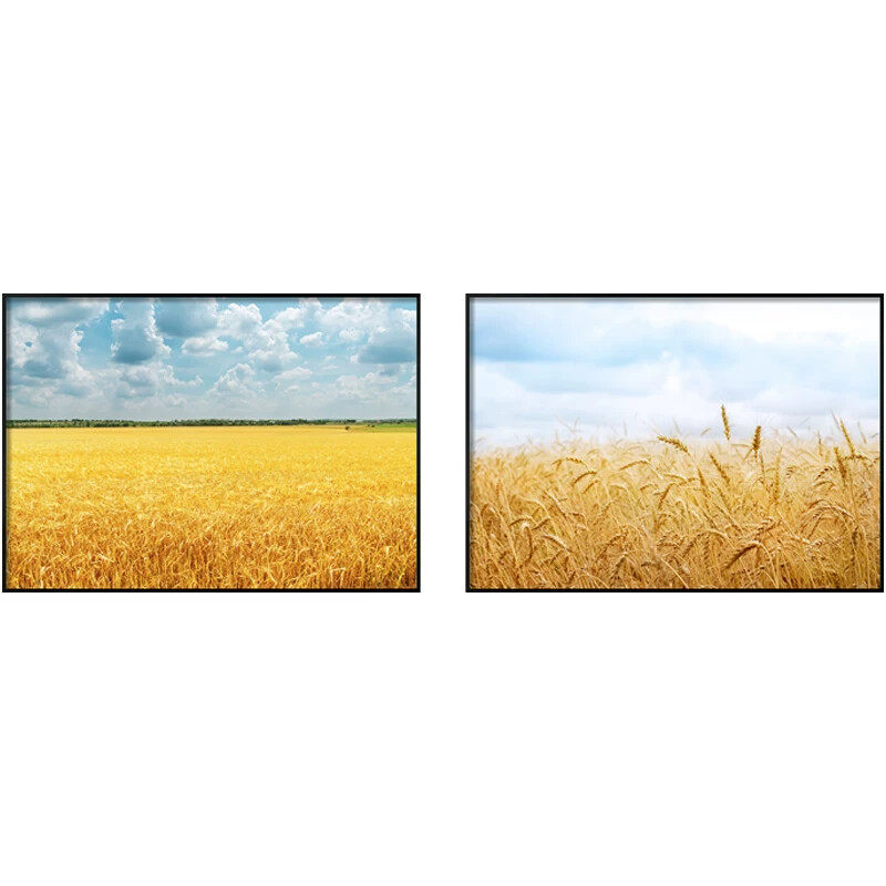现代简约餐厅装饰画金色麦穗丰收寓意饭厅画田园风景挂画2025新款