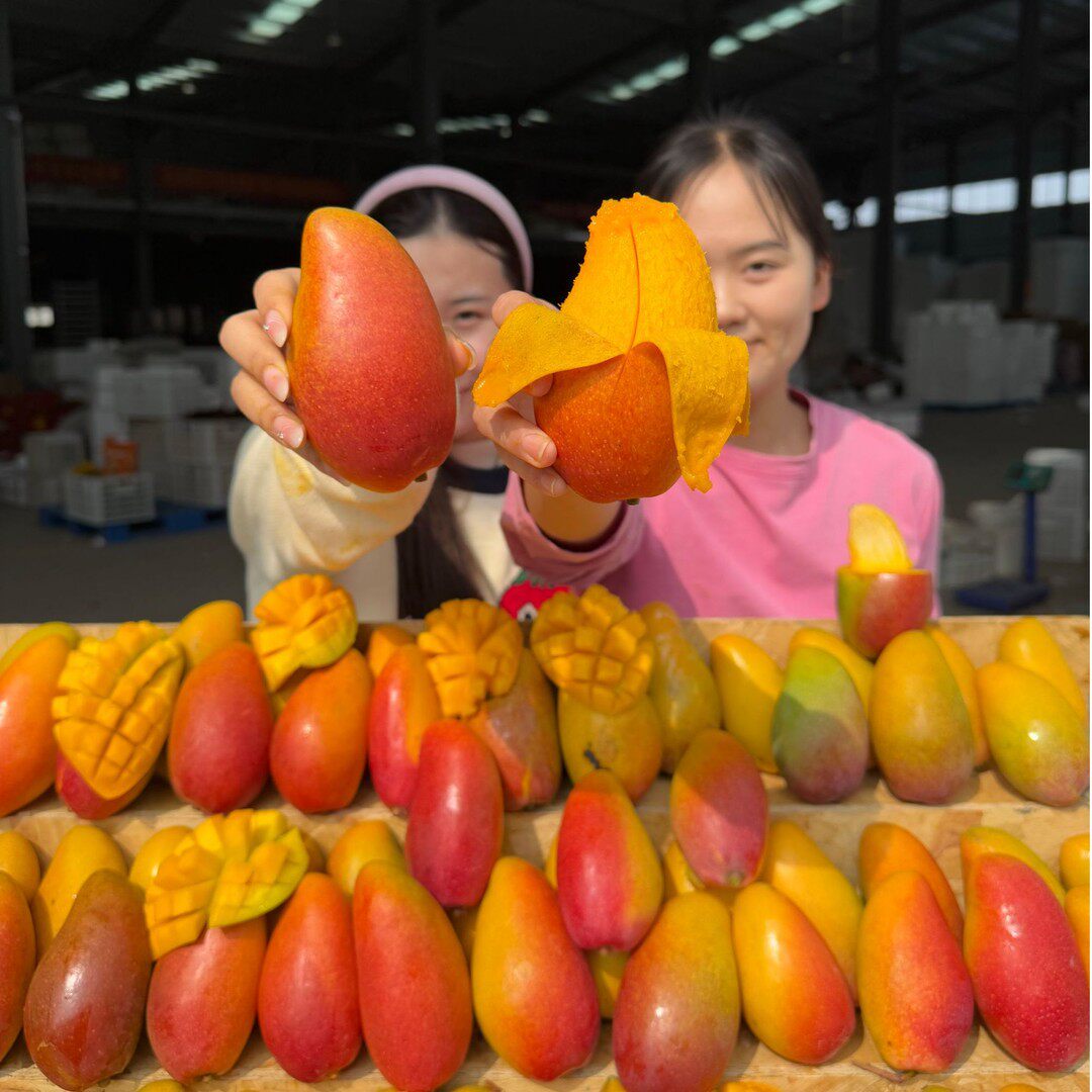 【软糯多汁】海南贵妃芒 新鲜当季水果 芒果 核薄肉厚 净5/8斤