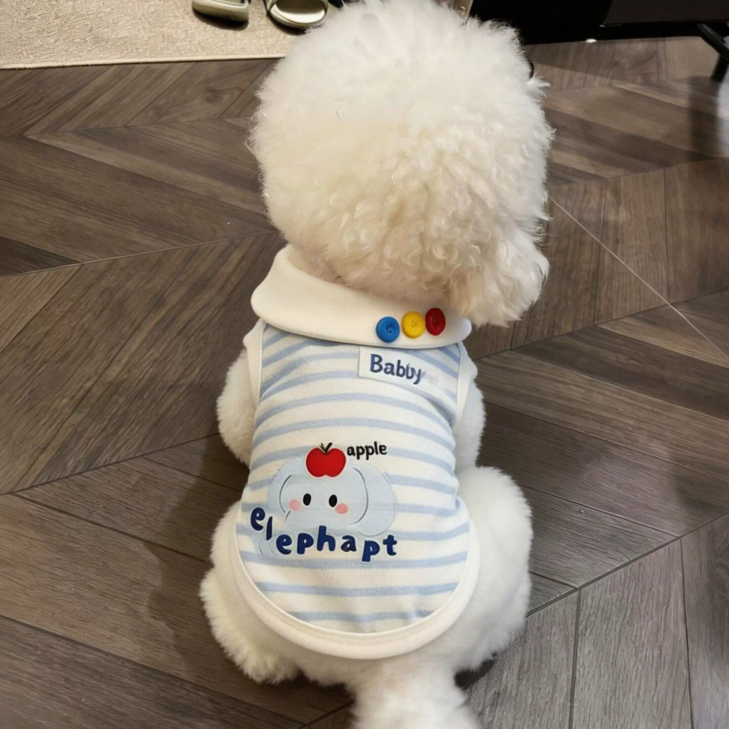宠物狗狗衣服夏天薄款防掉毛背心可爱漂亮猫咪条纹衫小型犬比熊