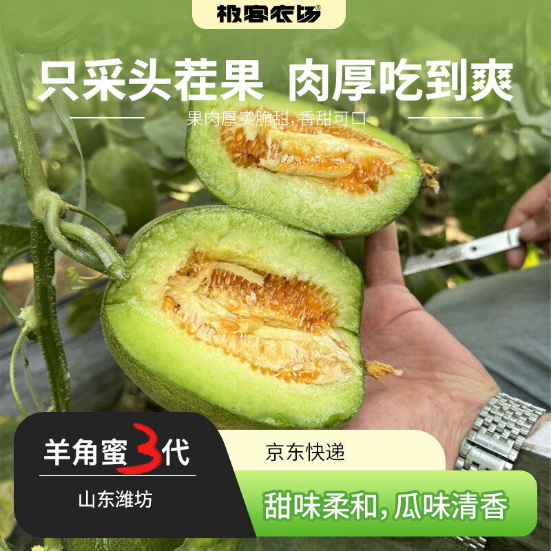 三代羊角蜜肉厚皮酥脆肉面沙 瓜香味超浓郁带皮吃的甜瓜3.5斤京东