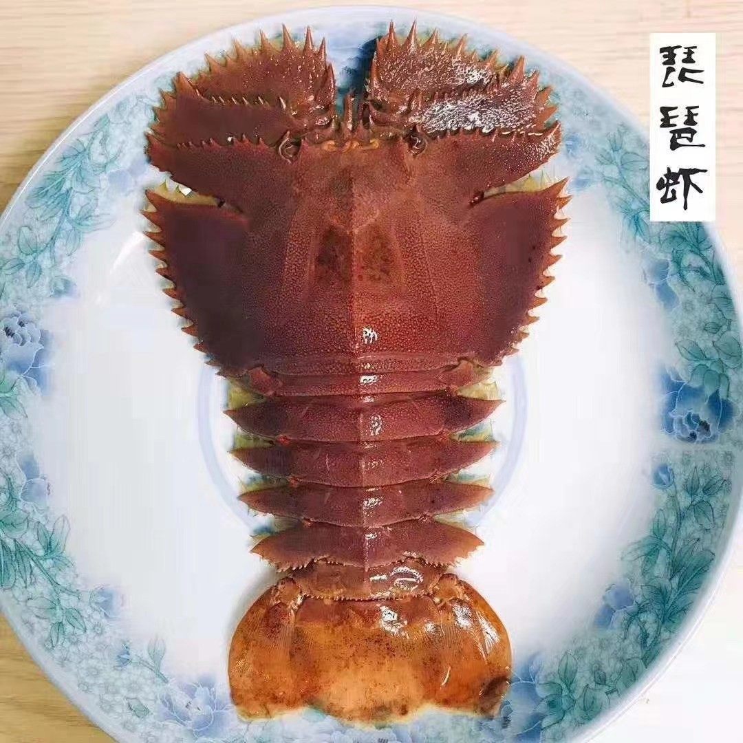 宁波石浦海鲜海捕九齿扇虾鲜活琵琶虾鲜活发货，保鲜不保活