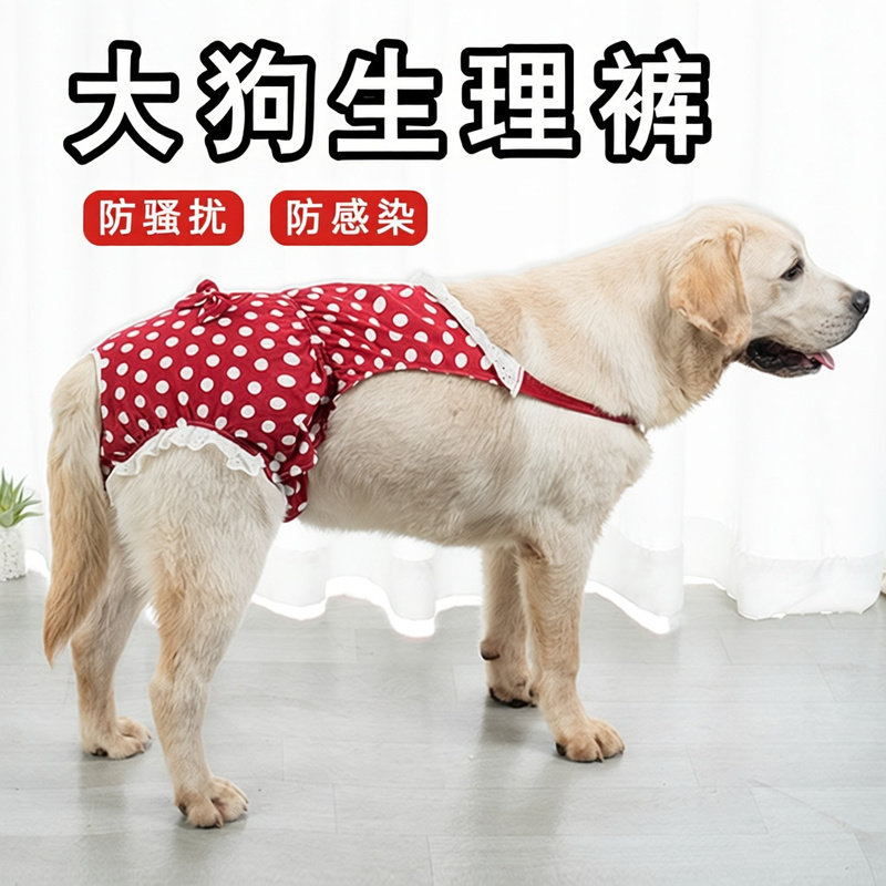 狗狗生理裤大型犬母狗姨妈裤安全裤经期防骚扰拉布拉多金毛防交配