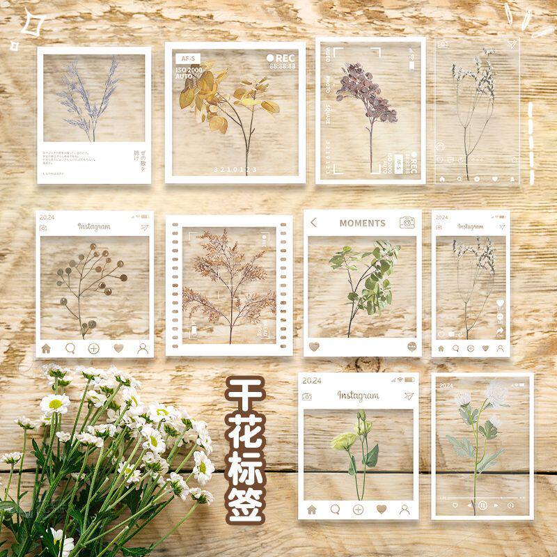 植物标本收集袋学生花朵标本透明自制材料包树花朵植物压花塑封膜