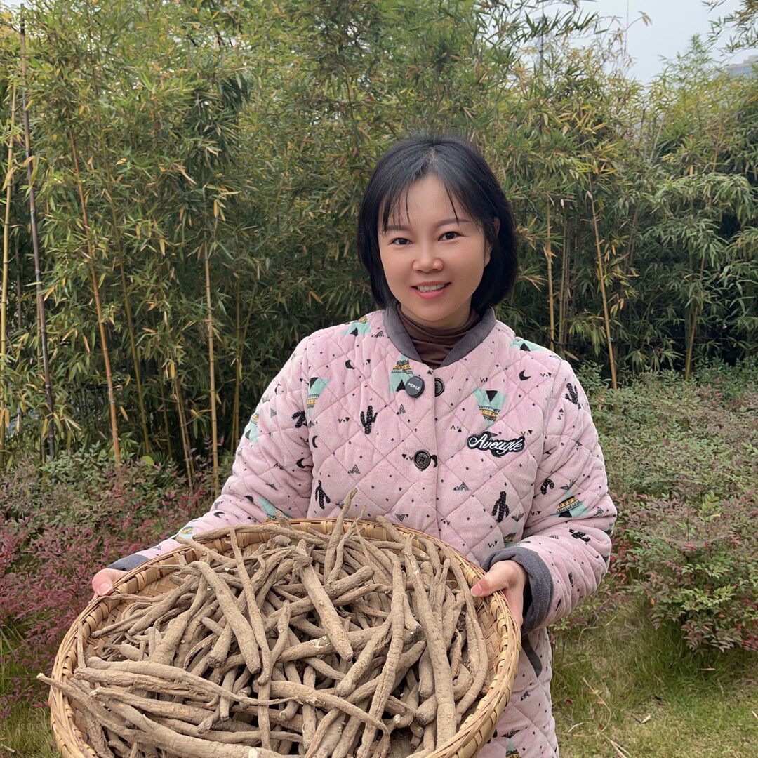 正宗阿坝土当归 无硫熏无打药可炖汤 煮水煮鸡蛋 炖猪蹄炖排骨