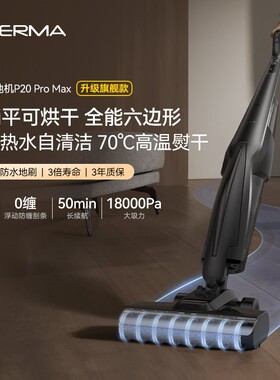 【达人】德尔玛洗地机躺平大吸力烘干吸拖一体机自动清洗P20ProMa