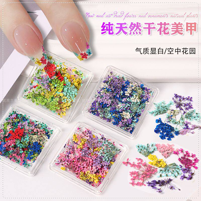 ins日系法式干花美甲饰品彩色纯天然小碎花花瓣干花指甲
