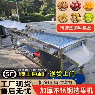 新款李子选果机商用槟榔筛选机圣女果百香果冬枣分级机金桔分拣机