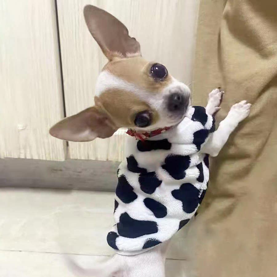 小体吉娃娃专用加绒加厚保暖背心幼犬奶狗小狗狗超小码衣服秋冬季