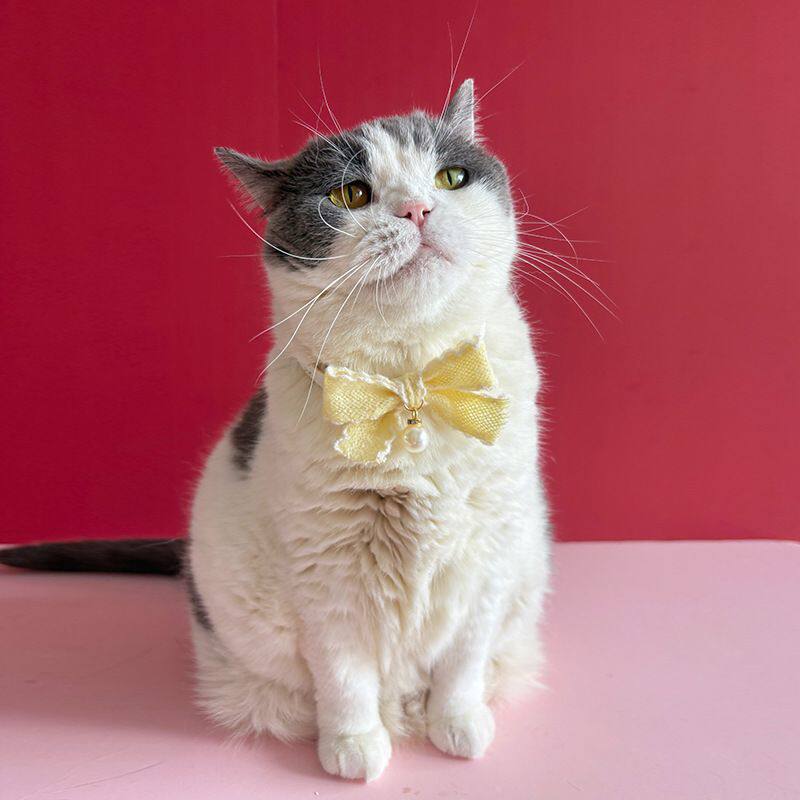 25秋宠物项圈领结狗狗颈圈蝴蝶结小猫配饰珍珠小碎花