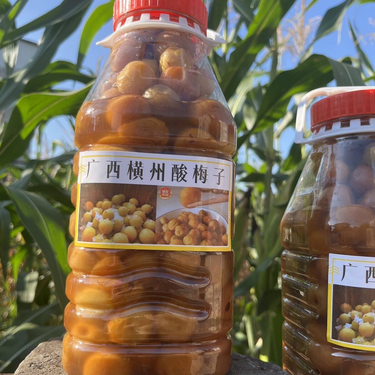 广西酸梅子传统农家配菜美食小吃调味餐厅专用多囊多汁梅类制品