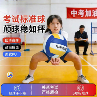 排球初中生中考专用标准款体育考试比赛训练小学生软式气排球2025