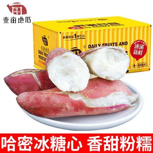 壹亩地瓜山东哈密牛奶冰糖薯蜜薯新鲜白心糖心红薯超甜番薯3/5斤