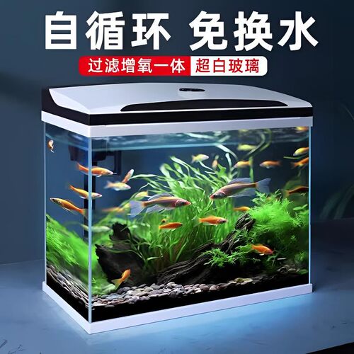 金晶超白鱼缸玻璃生态缸免换水客厅溪流缸家用小型斗鱼造景水草缸