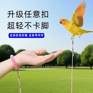 鹦鹉放飞溜鸟绳户外放飞绳不伤脚虎皮鹦鹉遛鸟神器牡丹玄凤鹦鹉专