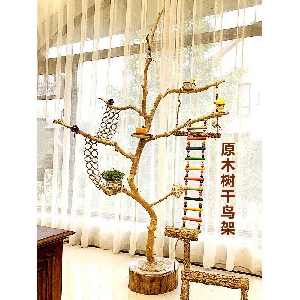 干树枝原木杈干鸟架造型鹦鹉站架艺术干枝枯木树干架吊顶龙骨装饰