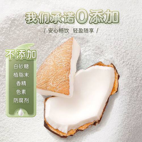纯椰子粉果汁椰汁粉无添加糖椰奶厚乳粉海南特产冲饮椰浆奶茶