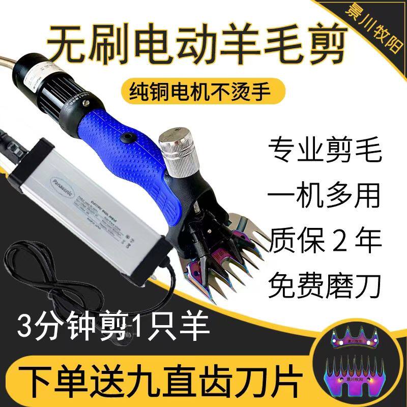 羊毛剪低压无刷电动羊毛剪景川牧阳羊毛剪剪毛机
