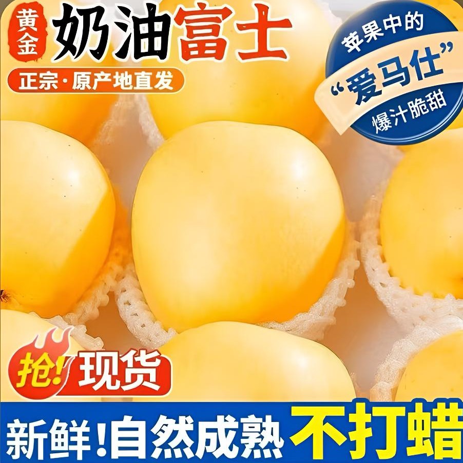【产地直发】烟台正宗黄金奶油富士苹果脆甜多汁应季新鲜水果