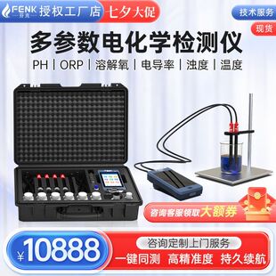 芬克便携式多参数电化学分析仪在线溶解氧PH电导率温度检测试仪器