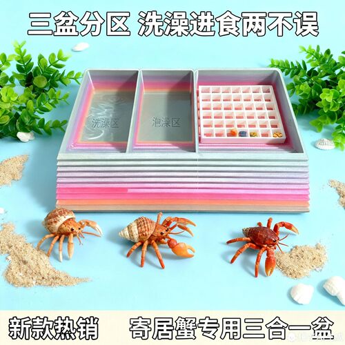 新款寄居蟹三合一喂食盒多规格网格进食澡盆海水脱皮淡水海水环保