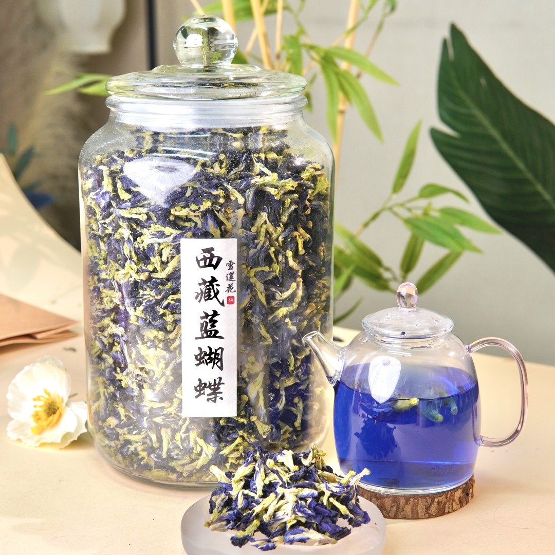 【西藏蓝蝴蝶】雪莲花雪山高海拔生长