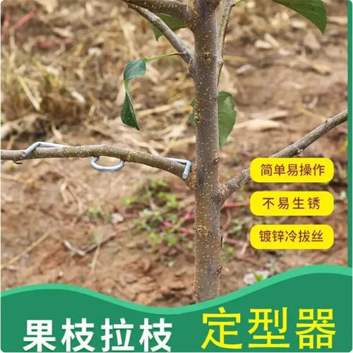M型果树拉枝器定型器拿弯器梨树别枝拉直压弯开角苹果樱桃树农用